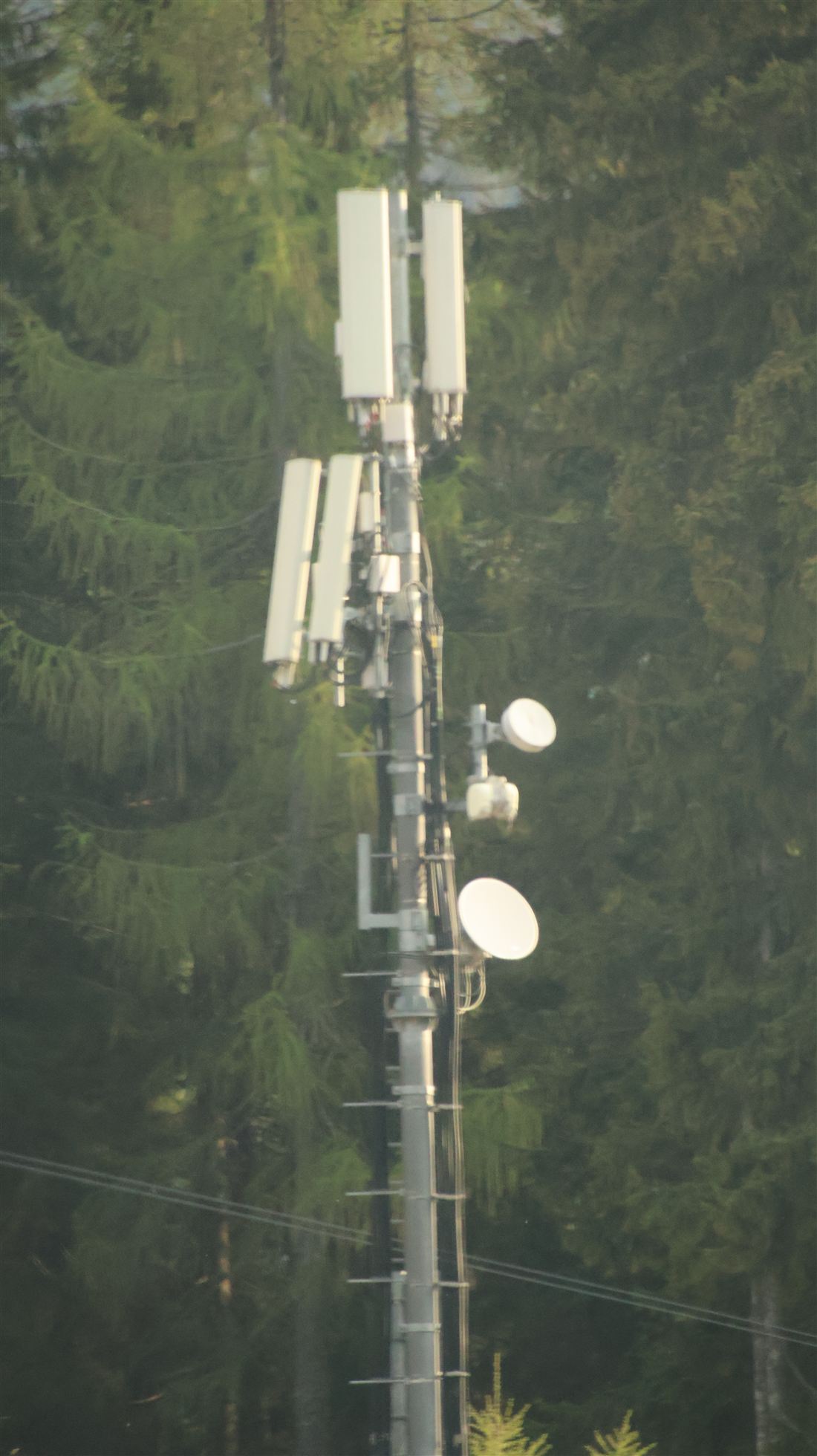 Sendemast im Wald, Nahaufnahme