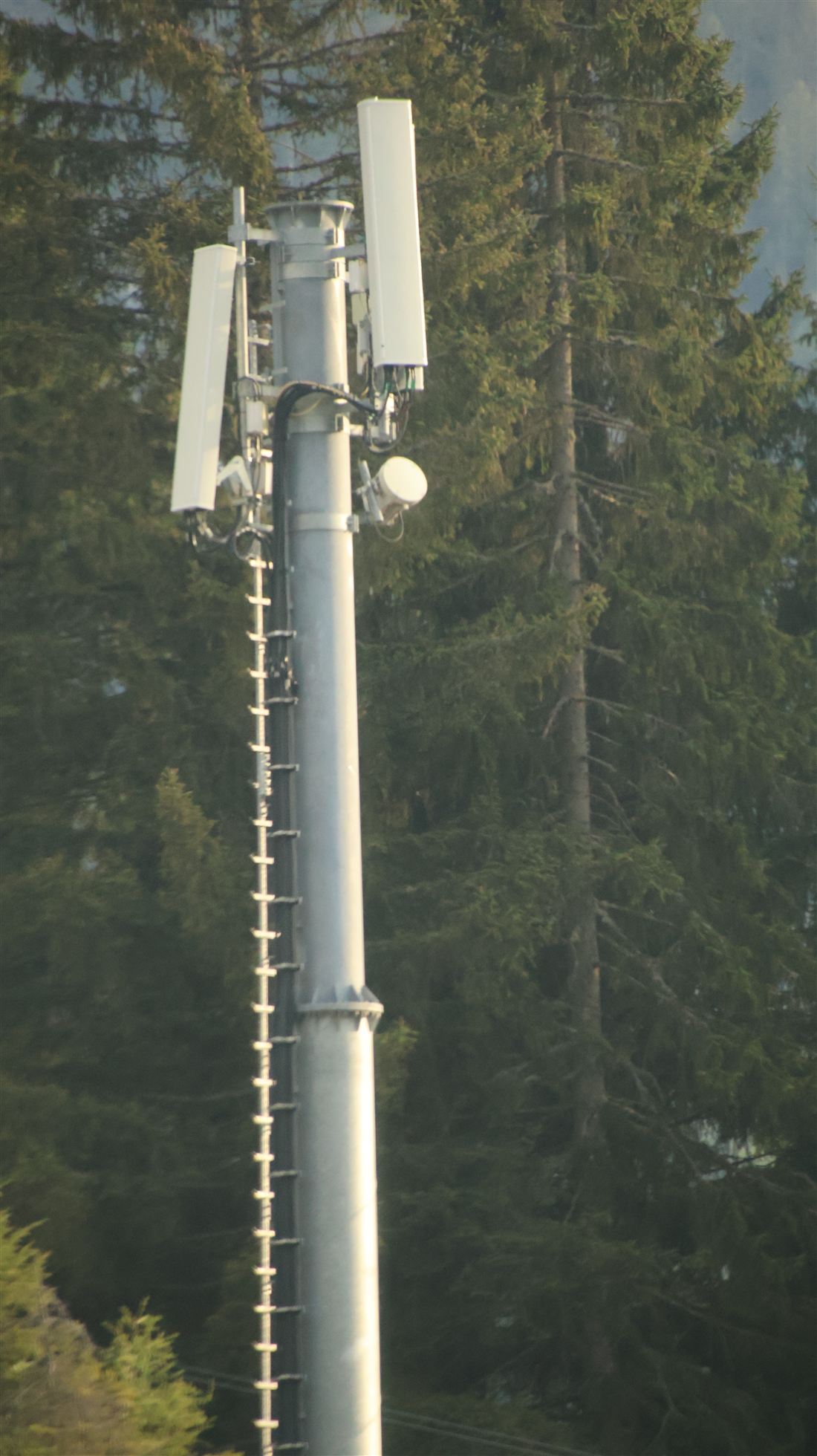 Sendemast im Wald mit Richtantennen
